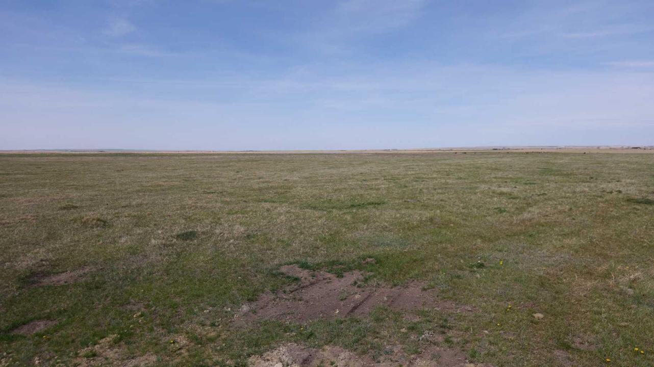 VULCAN COUNTY, Rural Vulcan County, Alberta T0L 2B0, Canada