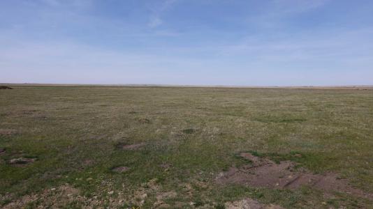 VULCAN COUNTY, Rural Vulcan County, Alberta T0L 2B0, Canada