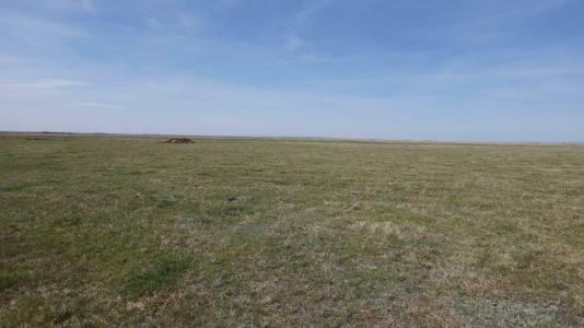 VULCAN COUNTY, Rural Vulcan County, Alberta T0L 2B0, Canada