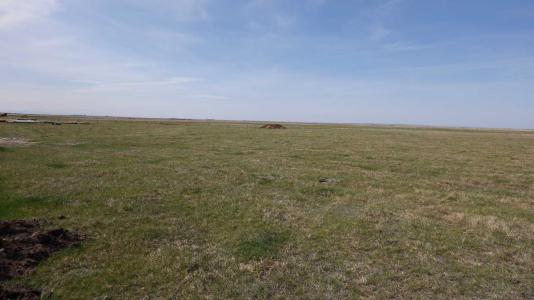 VULCAN COUNTY, Rural Vulcan County, Alberta T0L 2B0, Canada