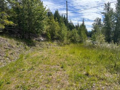 LOT 124 FRASER ROAD, Anglemont, 不列颠哥伦比亚省 V0E 1M8, 加拿大