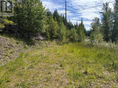 LOT 124 FRASER ROAD, Anglemont, 不列颠哥伦比亚省 V0E 1M8, 加拿大