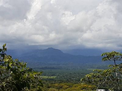 Manuel Antonio Quepos Quepos, Puntarenas 60601, Costa Rica