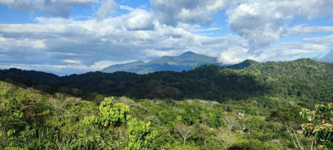 Bijagual Carara Turrubáres, San José 61105, 哥斯達尼加