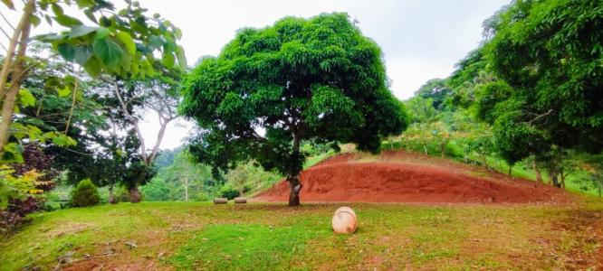Bijagual Carara Turrubáres, San José 61105, コスタリカ