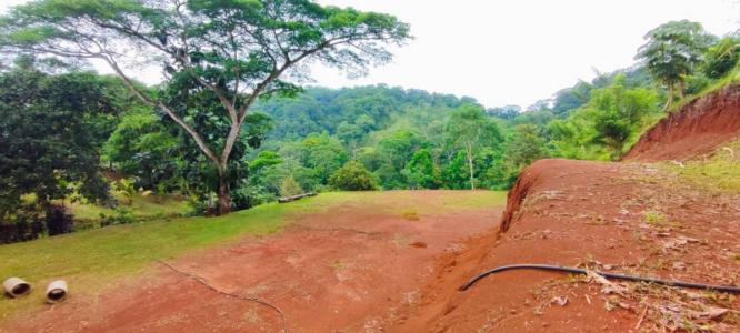 Bijagual Carara Turrubáres, San José 61105, コスタリカ