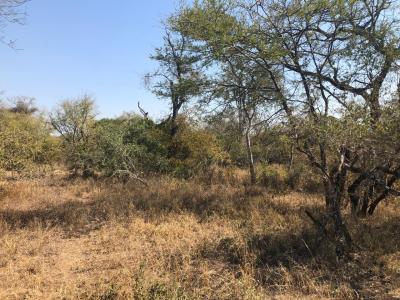 Hoedspruit, Limpopo, Republika Południowej Afryki