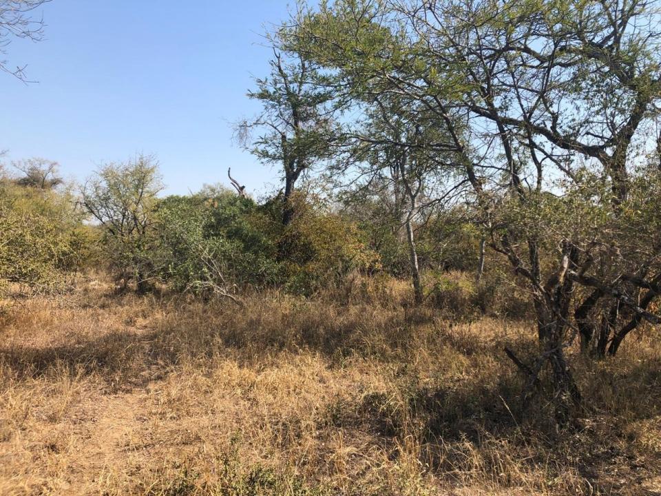 Hoedspruit, Limpopo, Republika Południowej Afryki