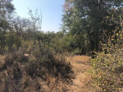 Hoedspruit, Limpopo, Republika Południowej Afryki