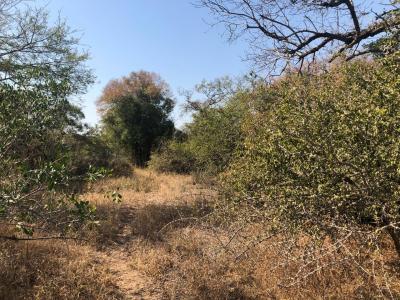 Hoedspruit, Limpopo, Republika Południowej Afryki