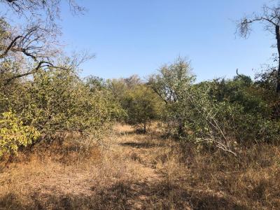 Hoedspruit, Limpopo, Republika Południowej Afryki