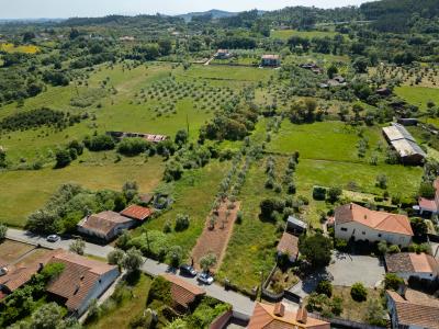 Alvaiázere, 莱里亚 3250, 葡萄牙