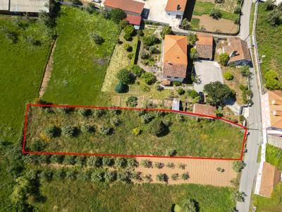 Alvaiázere, Leiria 3250, Portugal