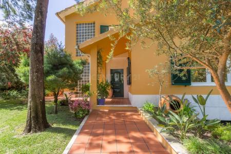 Seixal, Setubal 2855-609, Portugal
