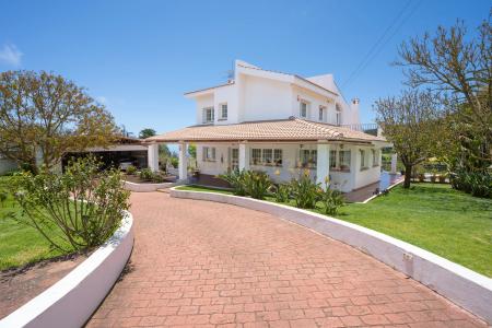سانتا كروث دي تينيريفه, Canarias 38290, إسبانيا