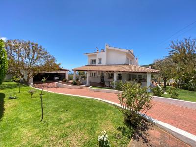 سانتا كروث دي تينيريفه, Canarias 38290, إسبانيا