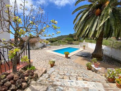 سانتا كروث دي تينيريفه, Canarias 38290, إسبانيا