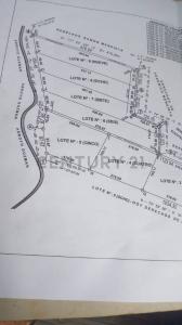tucangua cañada , Altos, Cordillera 00001, パラグアイ