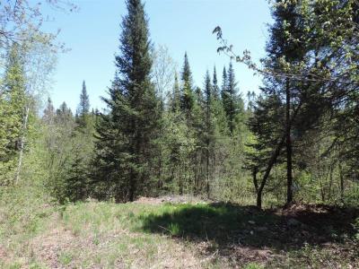Ch. Barette, Litchfield, Quebec J0X 1K0, Canada