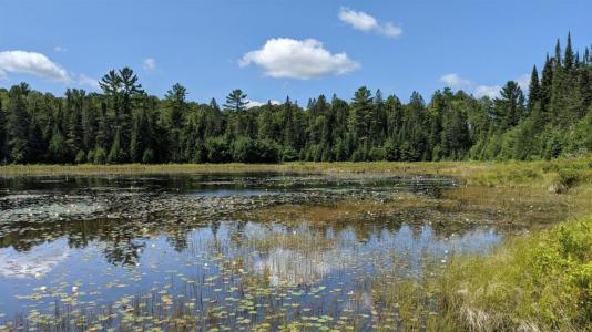 Ch. Barette, Litchfield, Quebec J0X 1K0, Canada