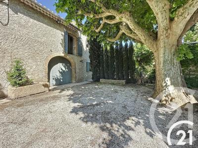Cavaillon, Provence-Alpes-Côte D'Azur 84300, França