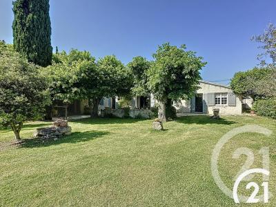 Cavaillon, Provence-Alpes-Côte D'Azur 84300, França