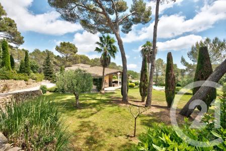 Mougins, Provence-Alpes-Côte D'Azur 06250, Francja