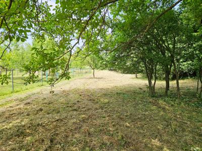 Kvasice, Kroměříž 100 00, Çek Cumhuriyeti