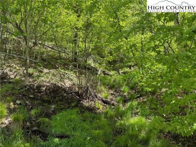 19 Wakeman Way, Banner Elk, North Carolina 28604, HOA KỲ