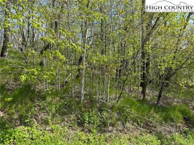 44 Fox Paw Lane, Banner Elk, Северная Каролина 28604, Соединенные Штаты