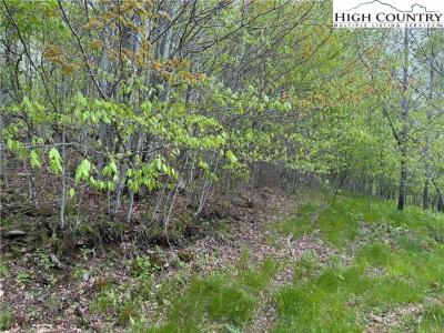 4 Fox Pointe Drive, Banner Elk, NC 28604, USA