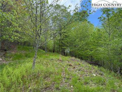 4 Fox Pointe Drive, Banner Elk, NC 28604, USA
