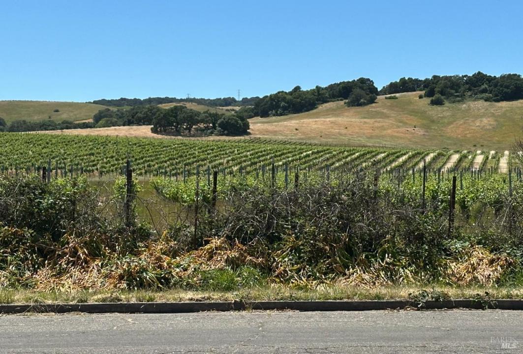 123 Bear Flag Rd, Sonoma, Kaliforniya 95476, Amerika Birleşik Devletleri