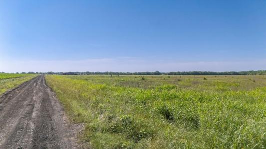 TBD 0 Cr-4911, Ladonia, Texas 75449, USA