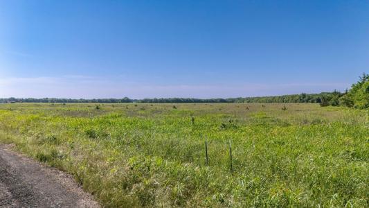 TBD County Line Road #4911, Commerce, Texas 75428, Estados Unidos