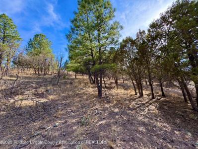 Lot 44 Sawmill Canyon road, Alto, Novo México 88312, Estados Unidos
