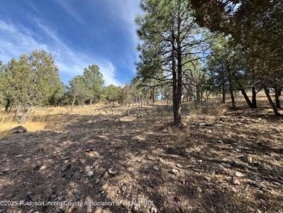 Lot 44 Sawmill Canyon road, Alto, Novo México 88312, Estados Unidos
