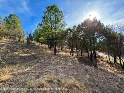 Lot 44 Sawmill Canyon road, Alto, Novo México 88312, Estados Unidos