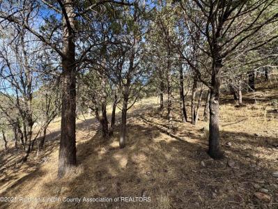 Lot 44 Sawmill Canyon road, Alto, Novo México 88312, Estados Unidos