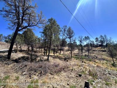 101 Gila Road, Ruidoso, NM 88345, USA