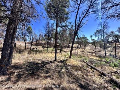 101 Gila Road, Ruidoso, New Mexico 88345