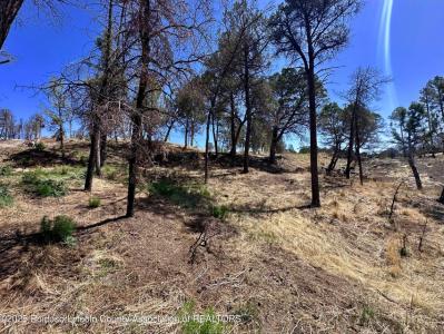 101 Gila Road, Ruidoso, New Mexico 88345