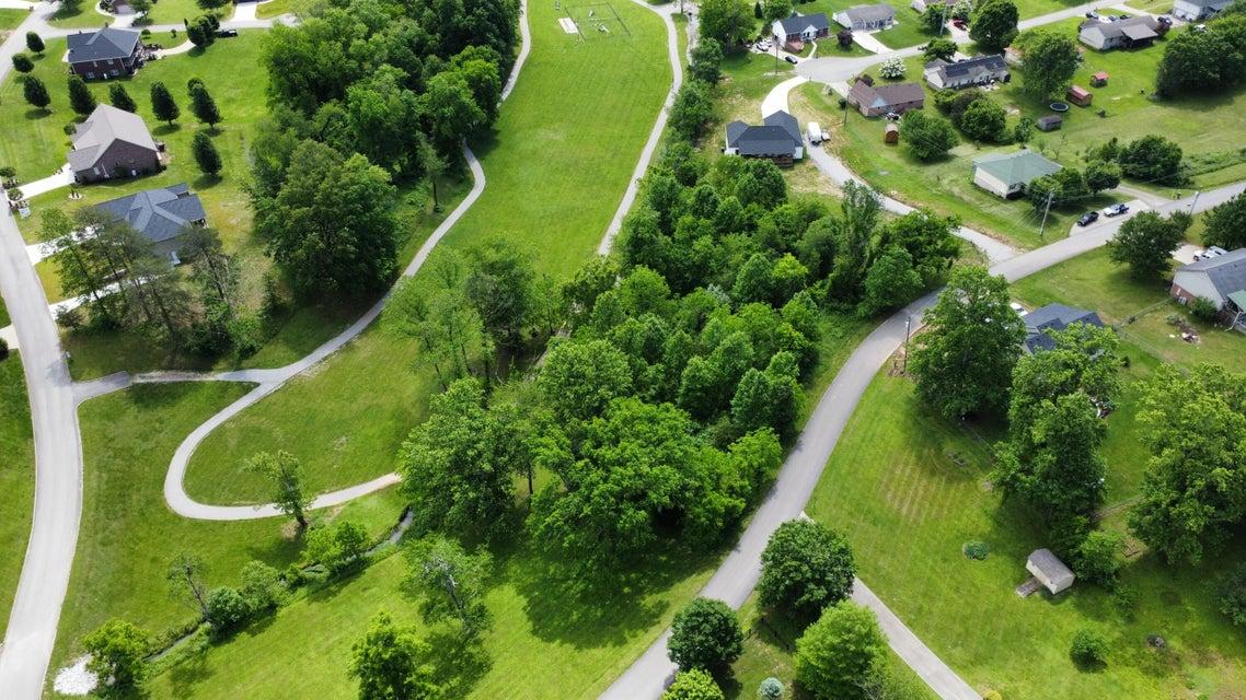 Lot 2 & 3 Joe Lewis Rd, Somerset, Kentucky 42503, Estados Unidos