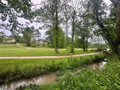 Lot 2 & 3 Joe Lewis Rd, Somerset, Kentucky 42503, Estados Unidos