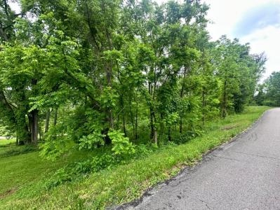 Lot 2 & 3 Joe Lewis Rd, Somerset, Kentucky 42503, Estados Unidos