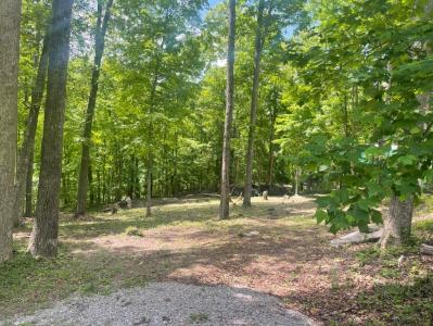 Lot 53-55 N Lake Dr, Burnside, Kentucky 42519, Estados Unidos