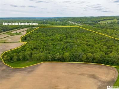 Part of 3051 S 62, Kennedy, Нью-Йорк 14747, Соединенные Штаты