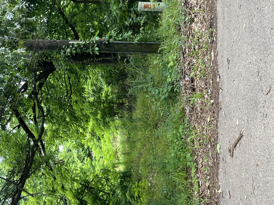 Blair Street, Kennett, ミズーリ 63857, アメリカ合衆国