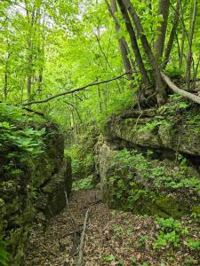 Partridge Road, Holy Cross, Iowa 52053, USA