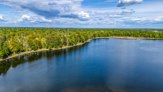 TBD Lamon Rd NE, Bemidji, 明尼蘇達州 56601, 美國